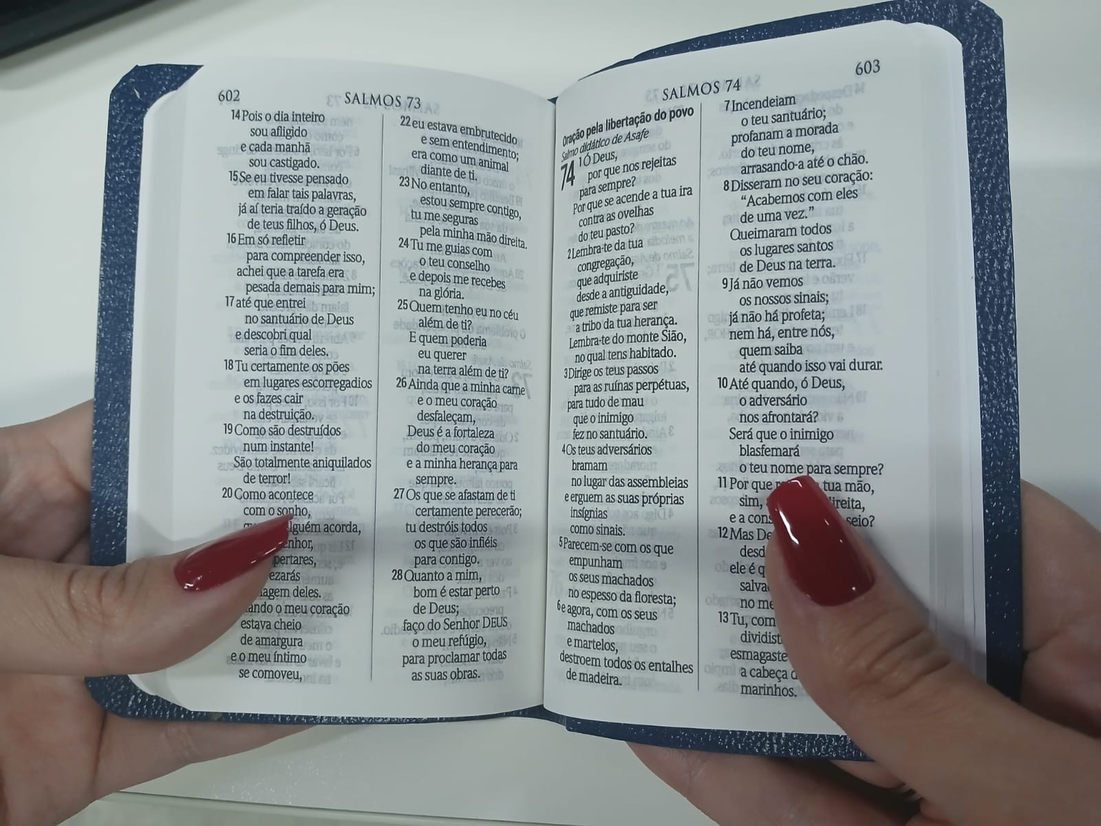 Câmara de Florianópolis aprova Bíblia como material de apoio nas escolas