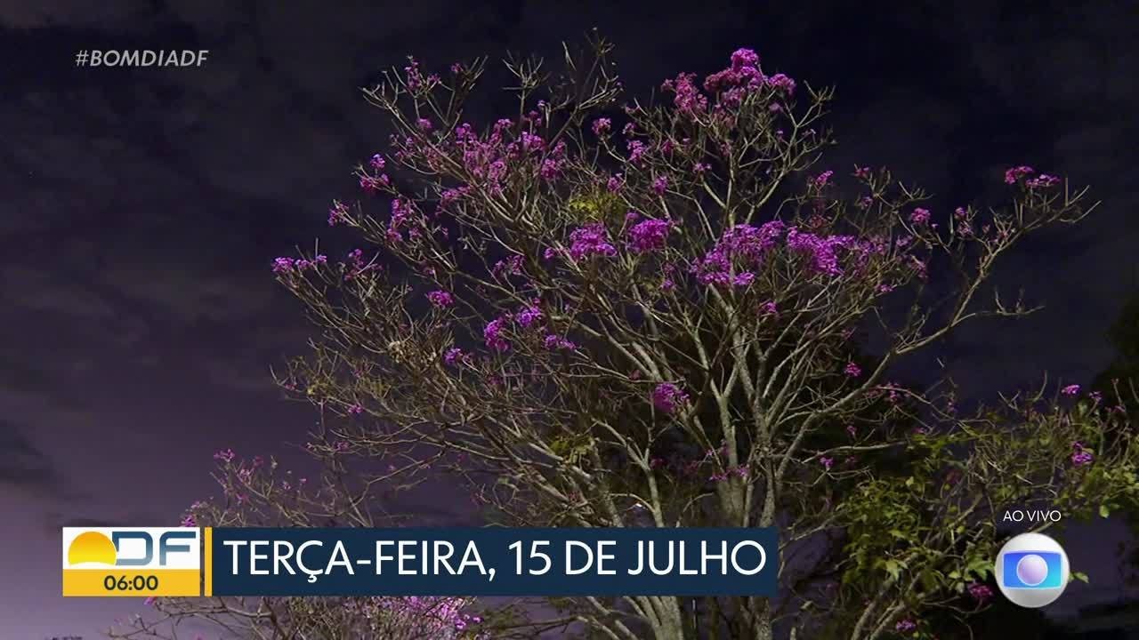 VÍDEOS: Bom Dia DF de terça-feira, 15 de julho de 2025