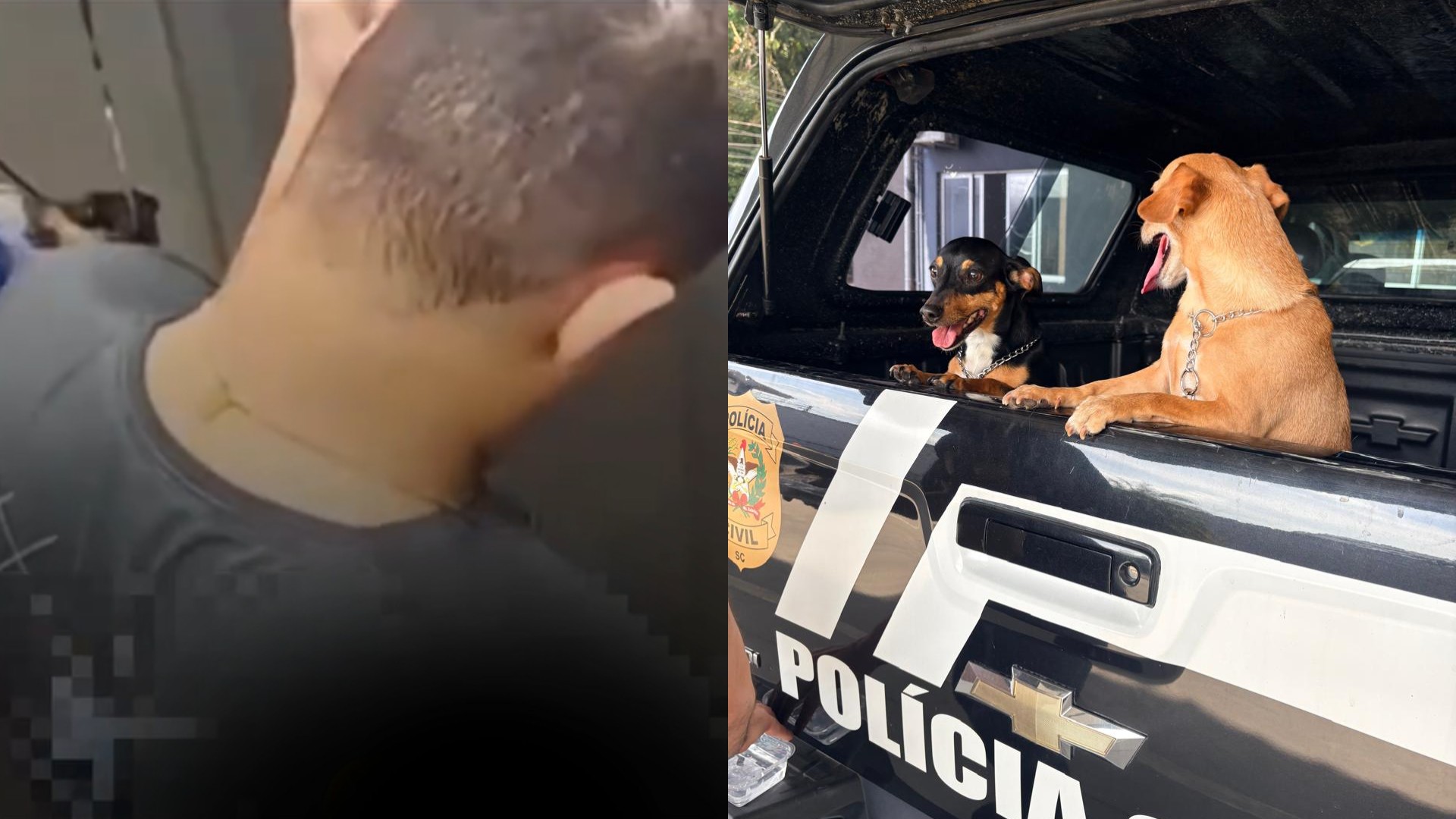 Homem que segurou cadela no ar pela coleira em SC é indiciado por maus-tratos; VÍDEO