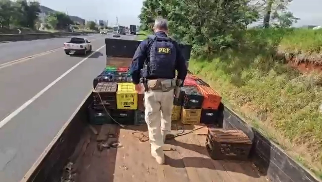 Policiais encontram caminhão quebrado no Paraná ao acaso, ajudam motorista a sinalizar pista e descobrem 912 kg de droga
