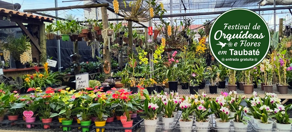 Festival de Orquídeas no Clube de Campo Abaeté