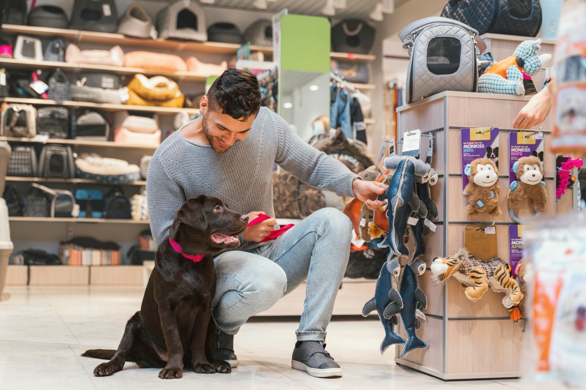 Setor pet movimenta economia com serviços que vão de creche canina a crematório animal na BA