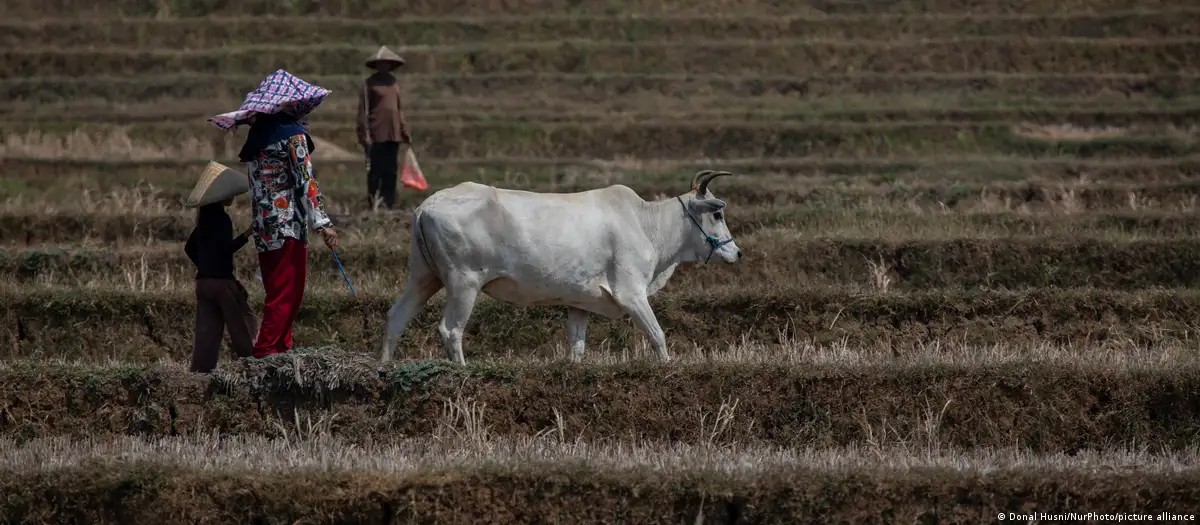 Clima e escassez alimentar elevam risco de guerras no mundo
