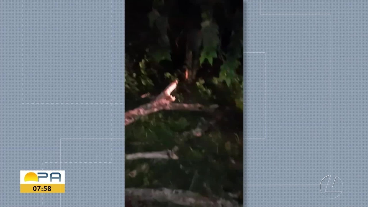 Árvore caída em estrada provoca acidente de moto que deixou uma pessoa morta e outra ferida em Belém