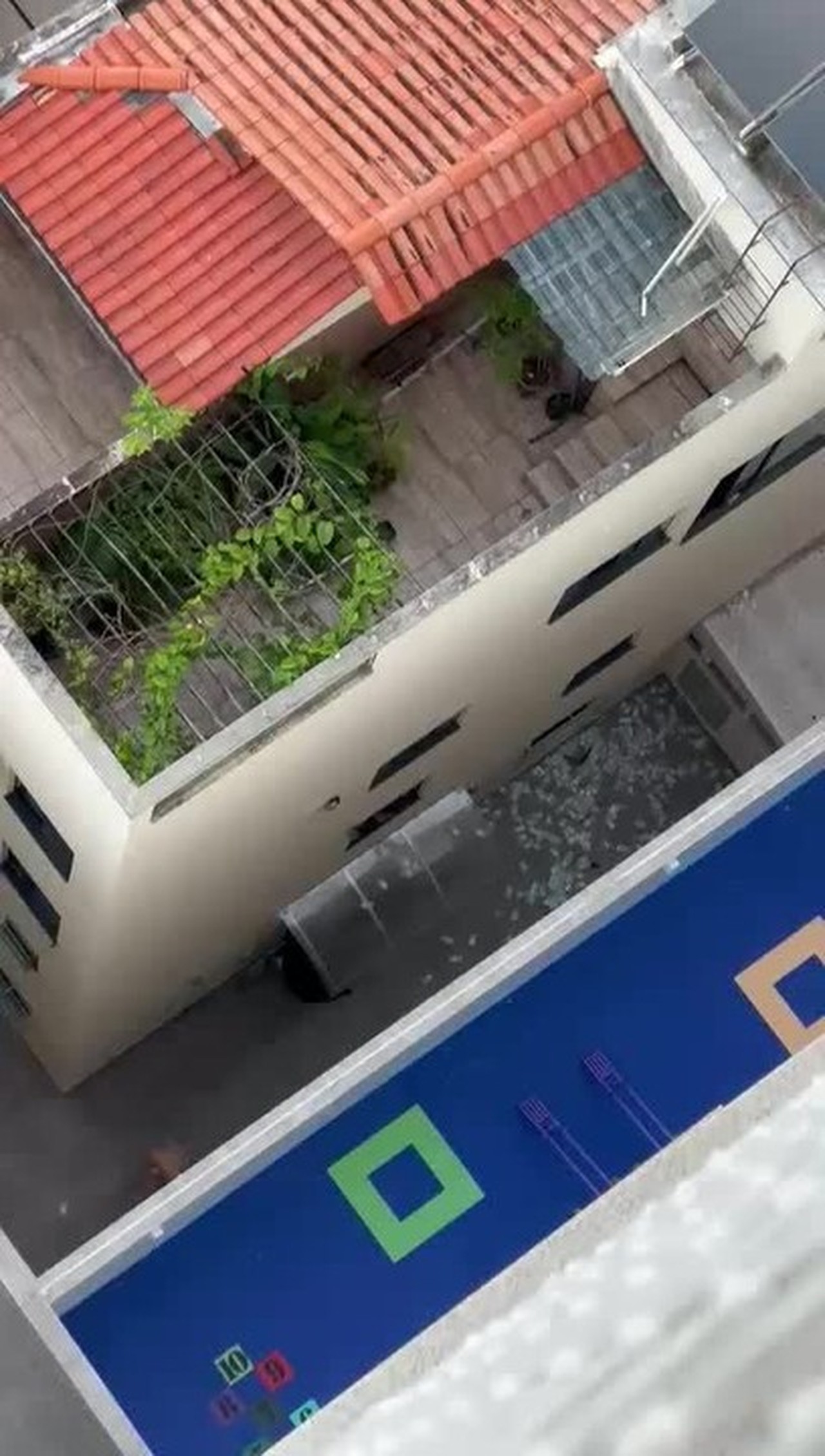 Caso Master: dinheiro jogado pela janela de banheiro durante operação em SC soma R$ 429 mil, segundo contagem da PF