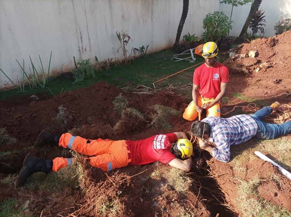 Cachorro cai em buraco de 4 metros de profundidade e precisa ser 'laçado' por bombeiro em Ituiutaba