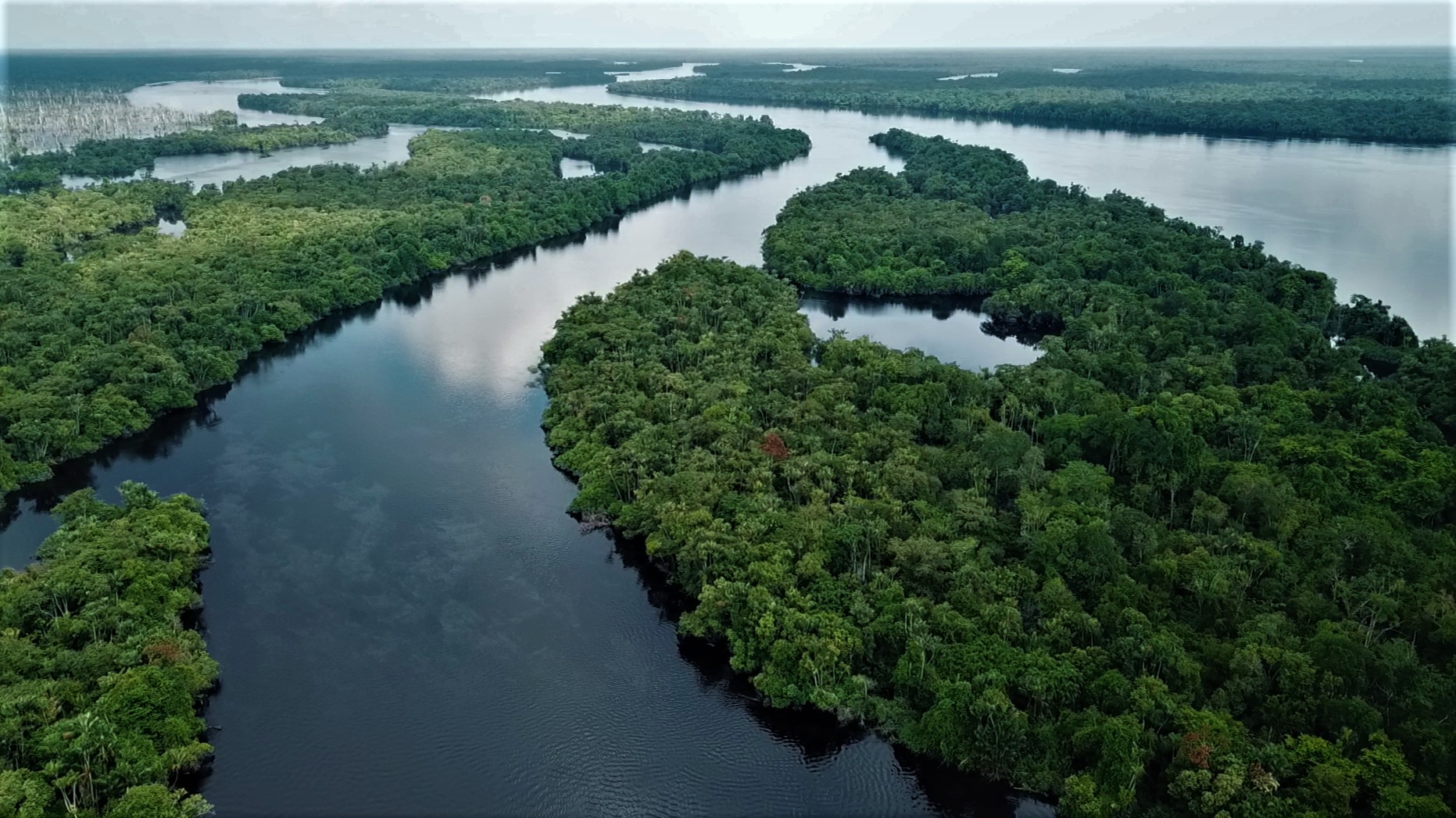 É #FAKE vídeo aéreo que mostra sucuri gigantesca em rio da Amazônia