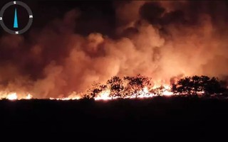 Entenda como fogo e seca no Norte do Brasil podem intensificar período de queimadas no Pantanal