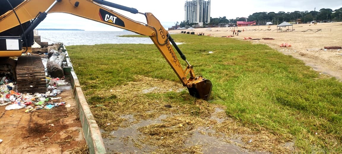 Canaranas: 'mar verde' que domina orla de Manaus é consequência da seca e ameaça ecossistema, alerta biólogo