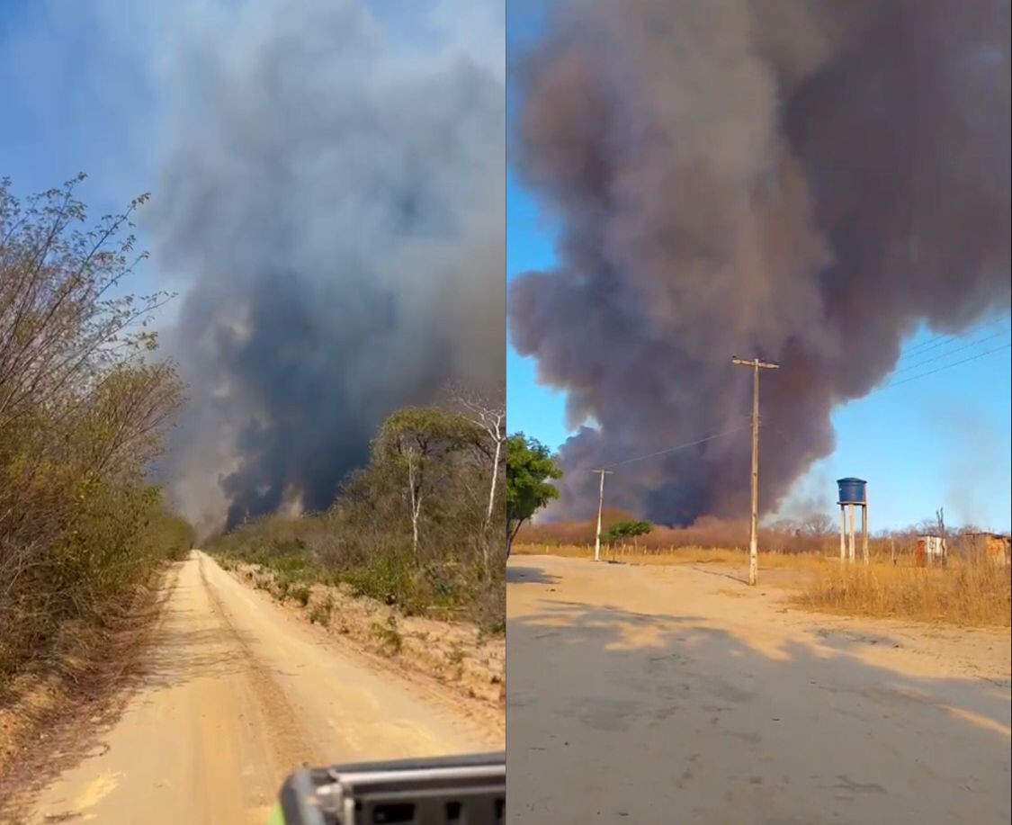 Polícia Civil e Semarh investigam a origem de incêndios de grandes proporções na região do Cerrado