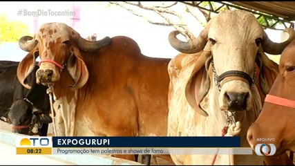 Veja a programação do primeiro dia da ExpoGurupi 2024