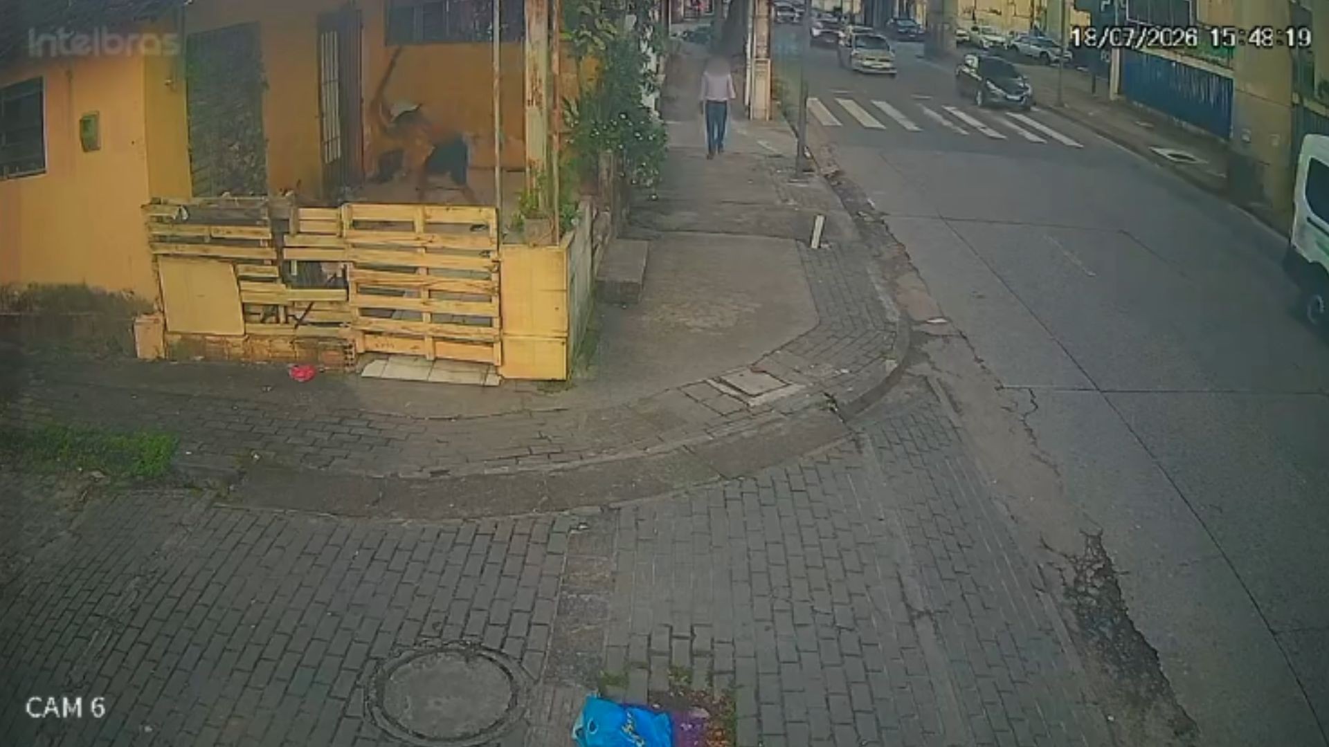 Homem em situação de rua é morto a pauladas enquanto dormia em Boa Viagem; vídeo mostra crime