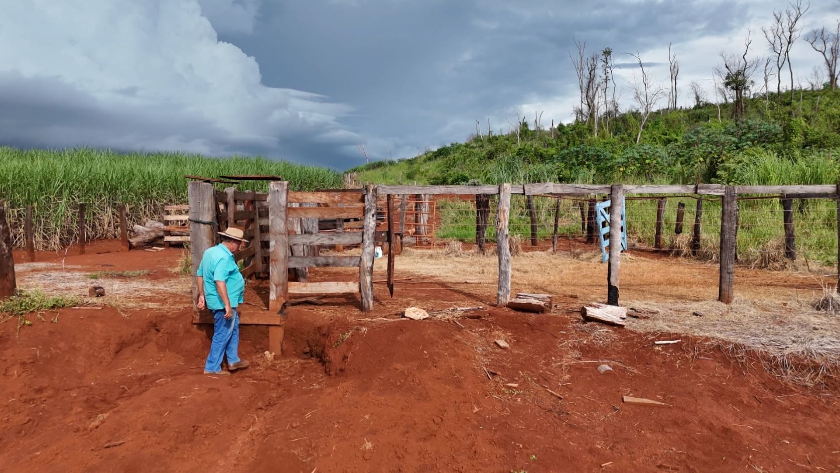 Sitiante é ameaçado de morte por ladrões após furto de gado avaliado em R$ 80 mil no interior de SP