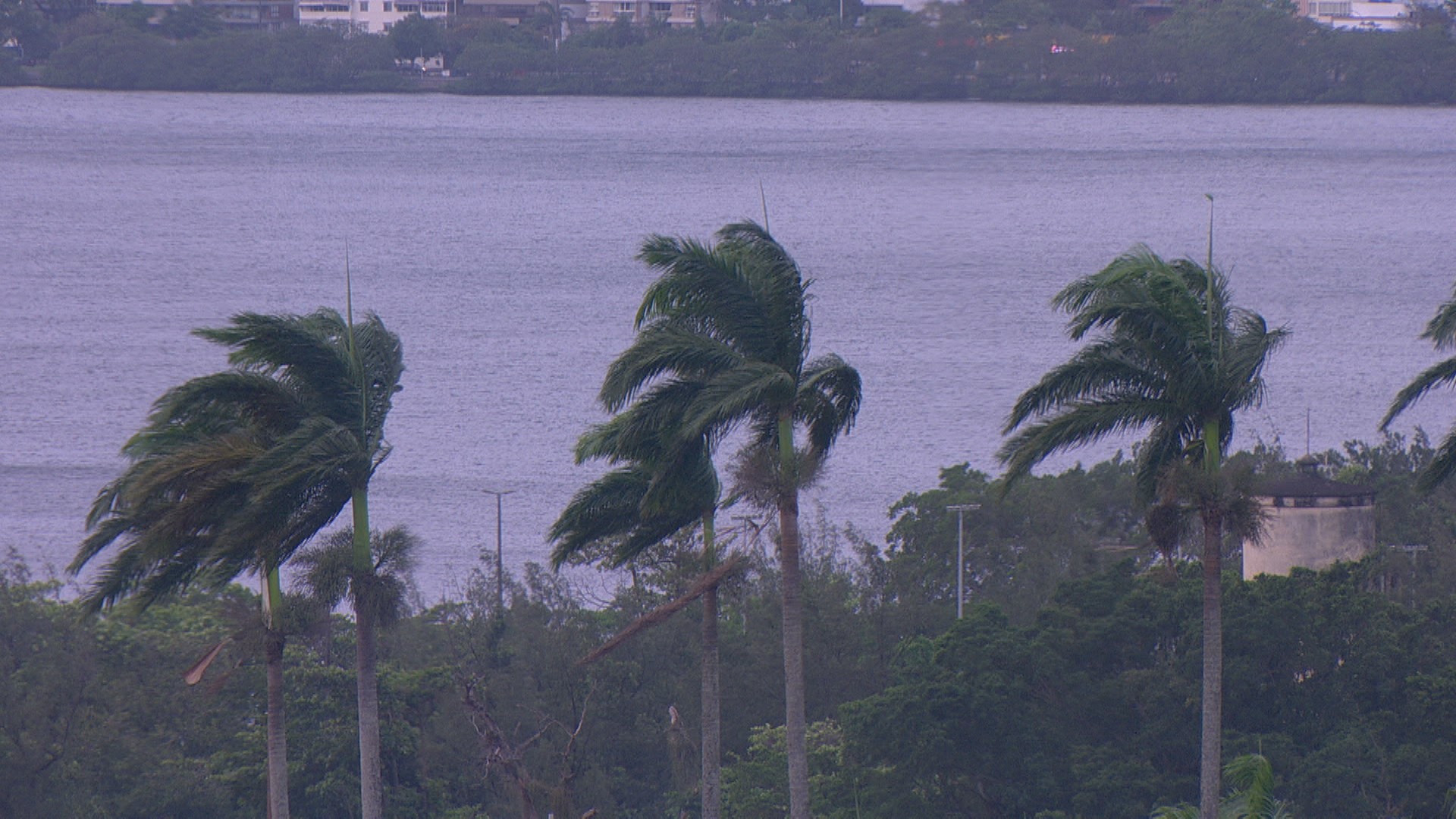 Ventania no Rio cancela voos no Santos Dumont; poste cai na Autoestrada Lagoa-Barra