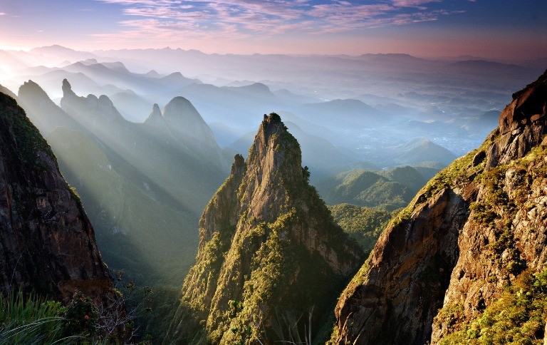 Parque Nacional da Serra dos Órgãos concentra maior riqueza de flora entre áreas protegidas do Brasil
