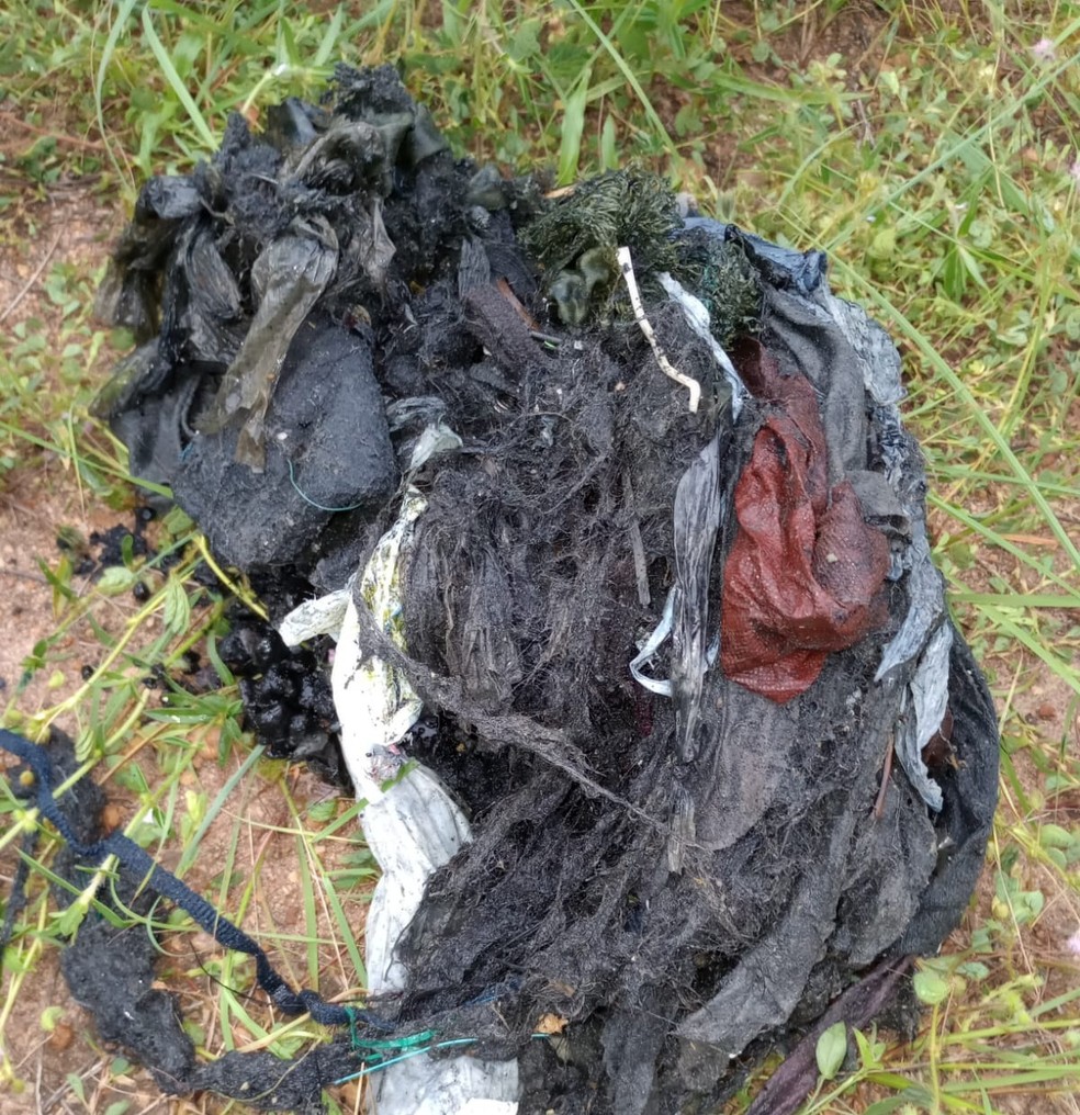 Cabelo e outros resíduos retirados das galerias de esgoto — Foto: Divulgação/BRK