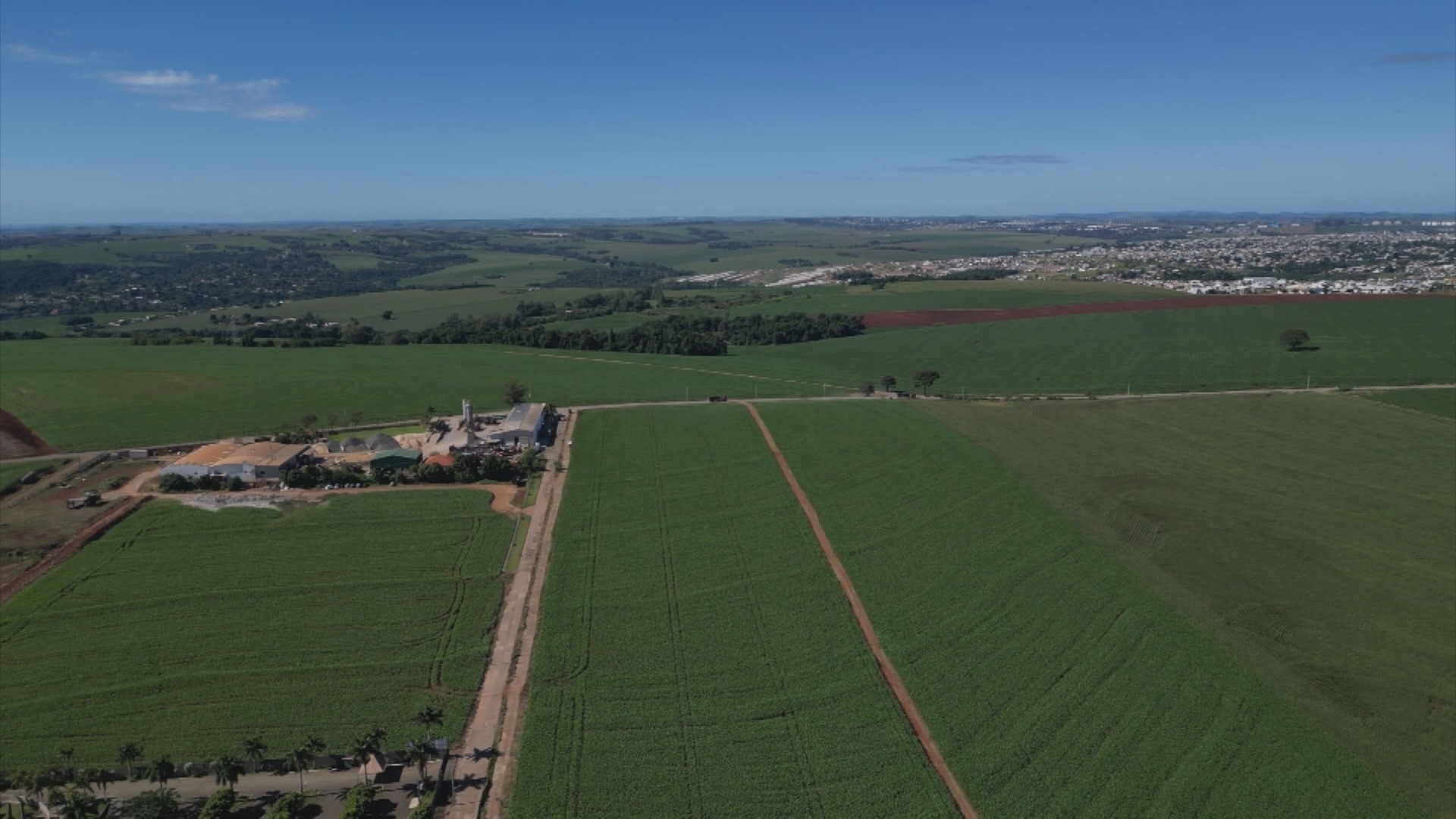 Hectare mais caro do Paraná está em Maringá e tem custo médio de R$ 185 mil, mostra levantamento; veja preços em outras cidades do estado