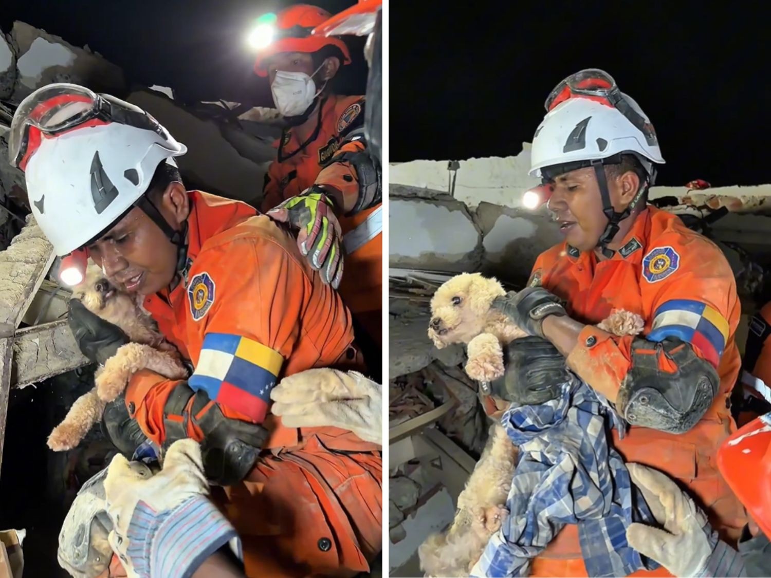 VÍDEO: cachorra é encontrada viva sob os escombros cinco dias após terremoto na Venezuela