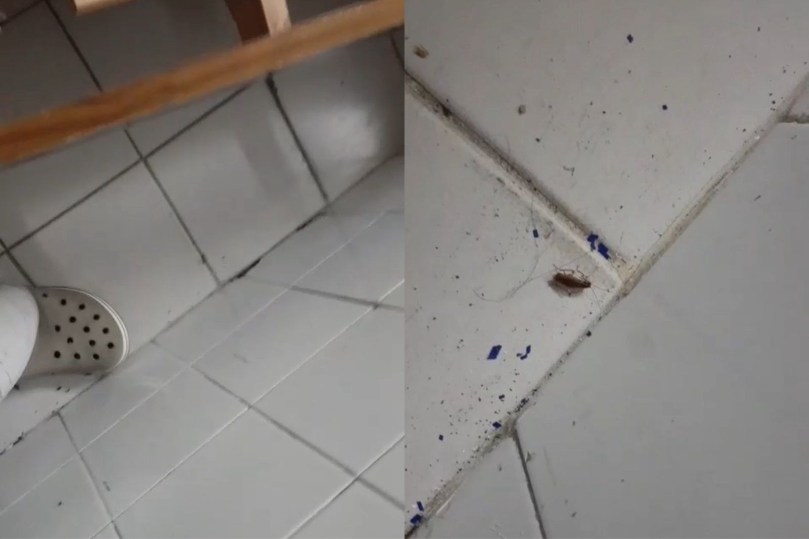 Vídeo: técnico em enfermagem flagra baratas em sala de repouso de UPA em Teresina