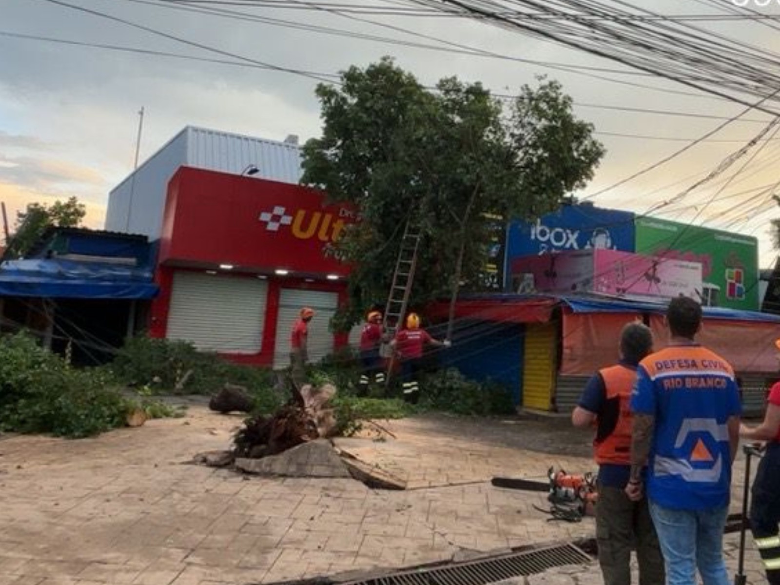 Temporal com ventos de 70 km/h causa queda de árvores e poste em Rio Branco