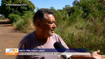 Moradores da região sul de Palmas reclamam de mato alto