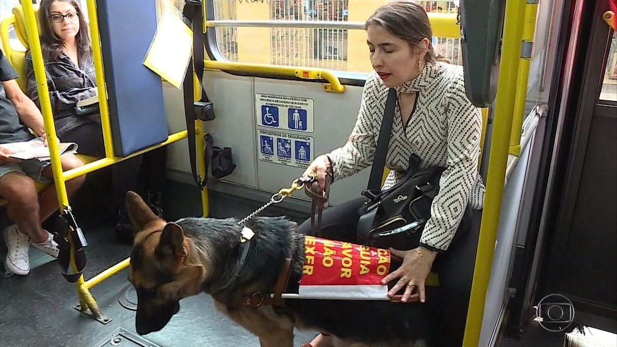 Acesso ao transporte coletivo com cão-guia é garantido por lei em Belo ...
