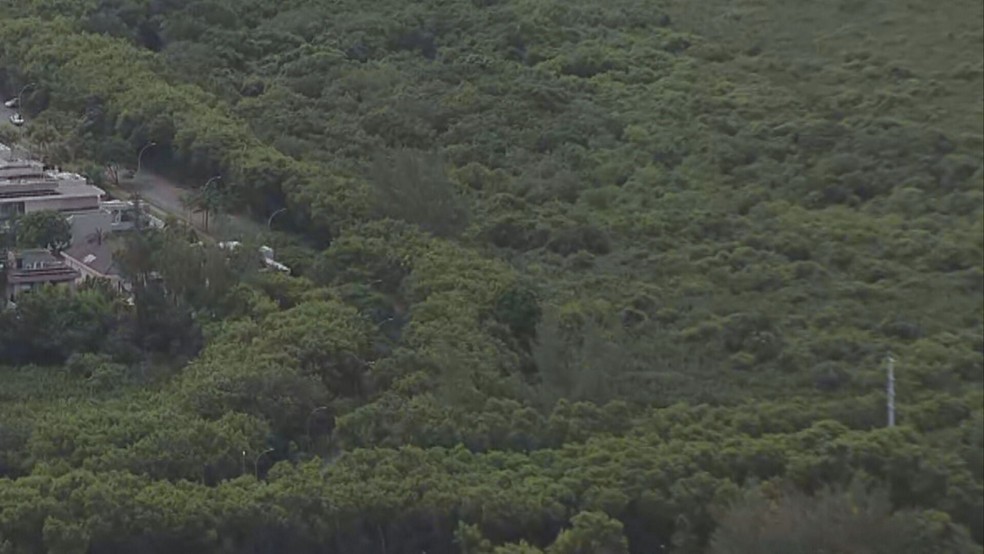 MP recomenda que prefeitura não autorize condomínio que prevê corte de quase 900 árvores na Barra da Tijuca — Foto: Reprodução/TV Globo