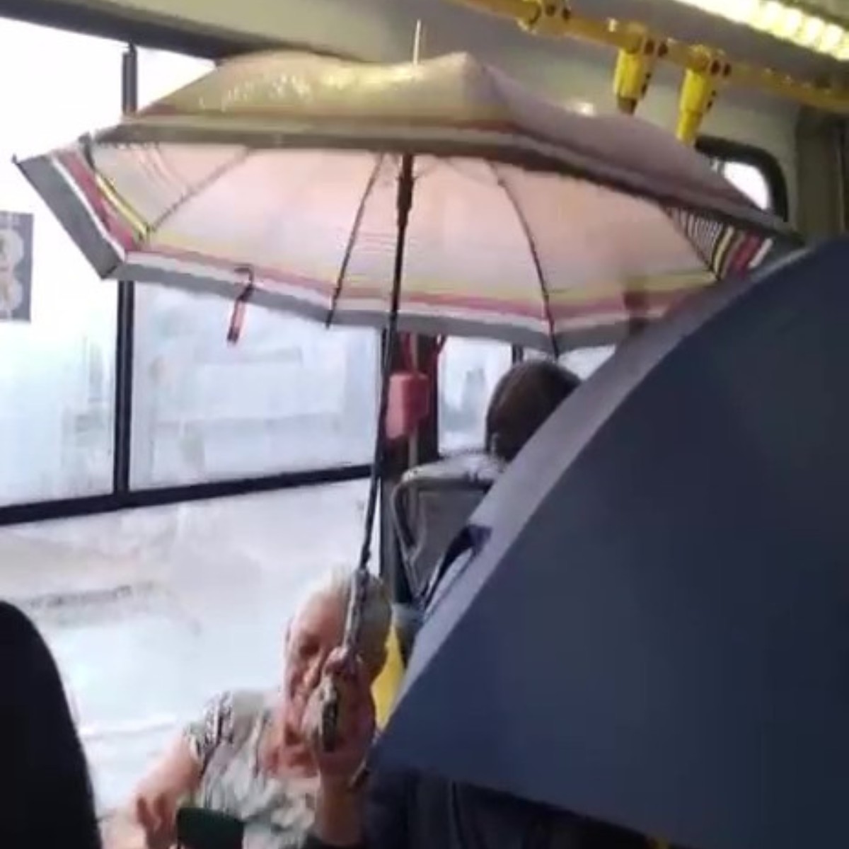 VÍDEO: passageiras abrem guarda-chuvas para se proteger de goteiras em ônibus em Campinas 