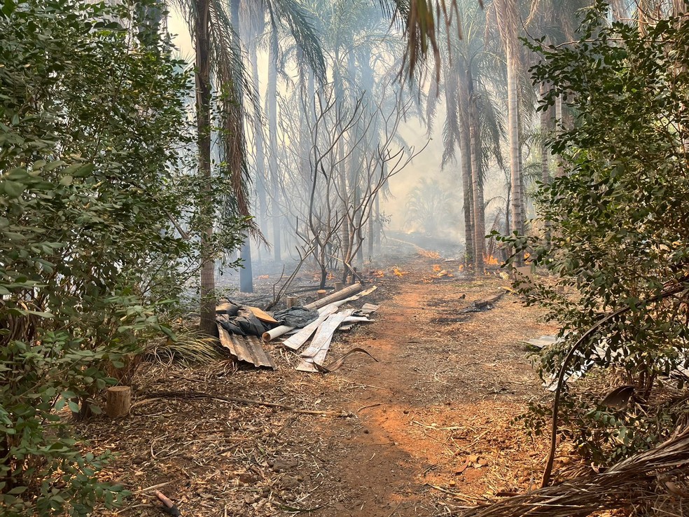 Assentamento em MS é devastado pelo fogo — Foto: Vinícius Souza/TV Morena