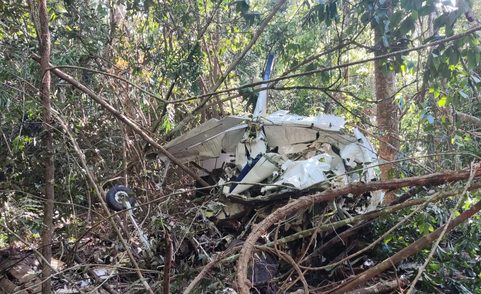 Bimotor Beechcraft Baron 58 caiu em área de mata em Vilhena — Foto: Reprodução