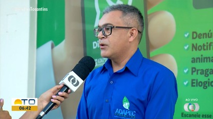 Adapec desenvolve ações para prevenção de pragas do cacau e do cupuaçu no Tocantins