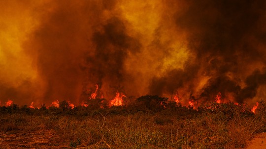 Fogo e seca no Norte podem intensificar queimadas no Pantanal - Foto: (Mayke Toscano - Secom - MT)