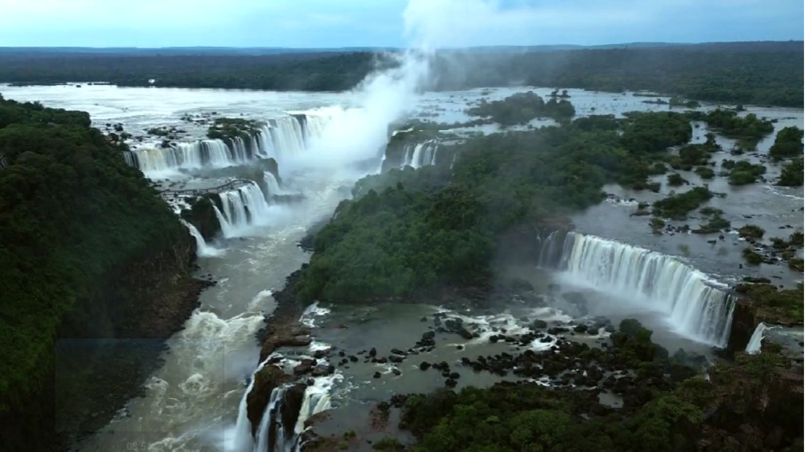 No Paraná, Biotravessia mostra ações de conservação da fauna e da flora 