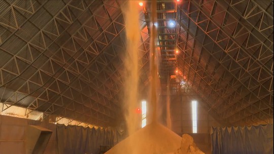 
ANÁLISE: energia dos campos, o superpoder brasileiro subestimado - País é um modelo de soberania energética sustentável, porém o Ocidente só se concentra na devastação amazônica. Cabe aos brasileiros cuidar para que seu papel pioneiro seja reconhecido – e até faça escola.