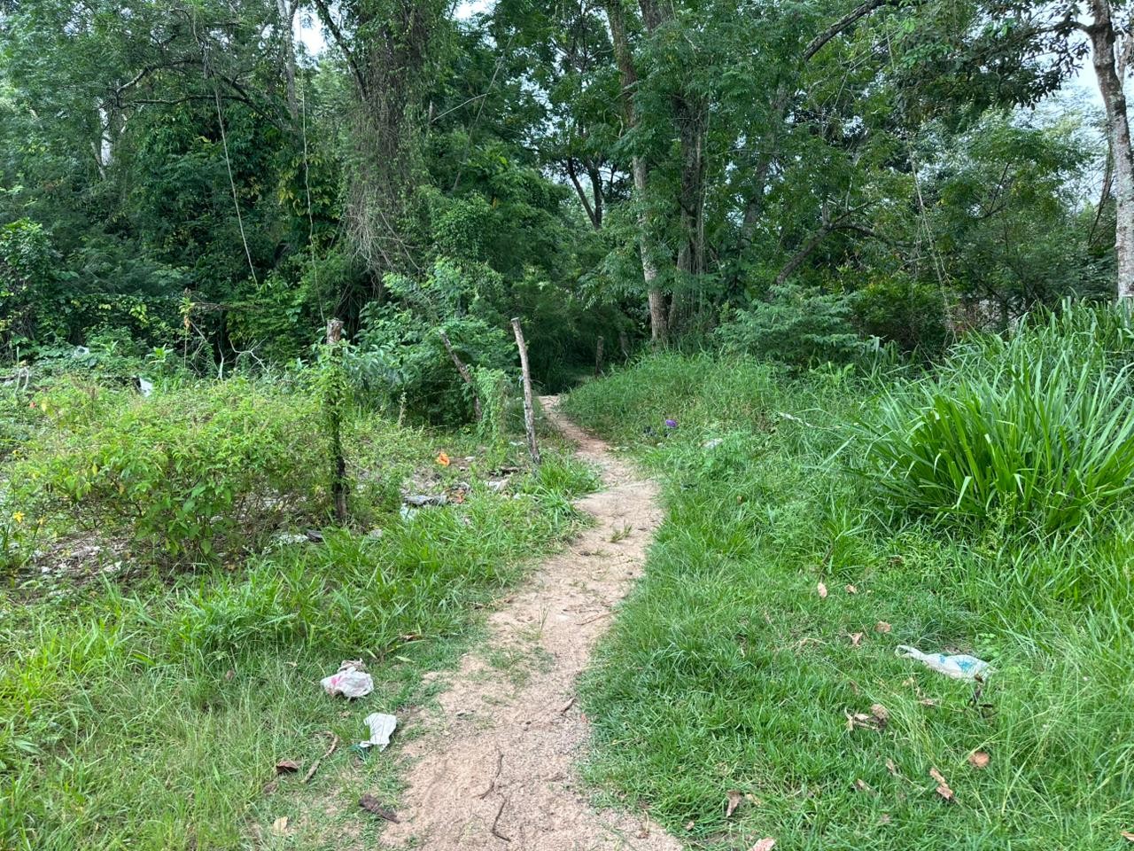 Tutor de pitbulls que atacaram e mataram mulher vai responder por homicídio doloso, diz Polícia Civil