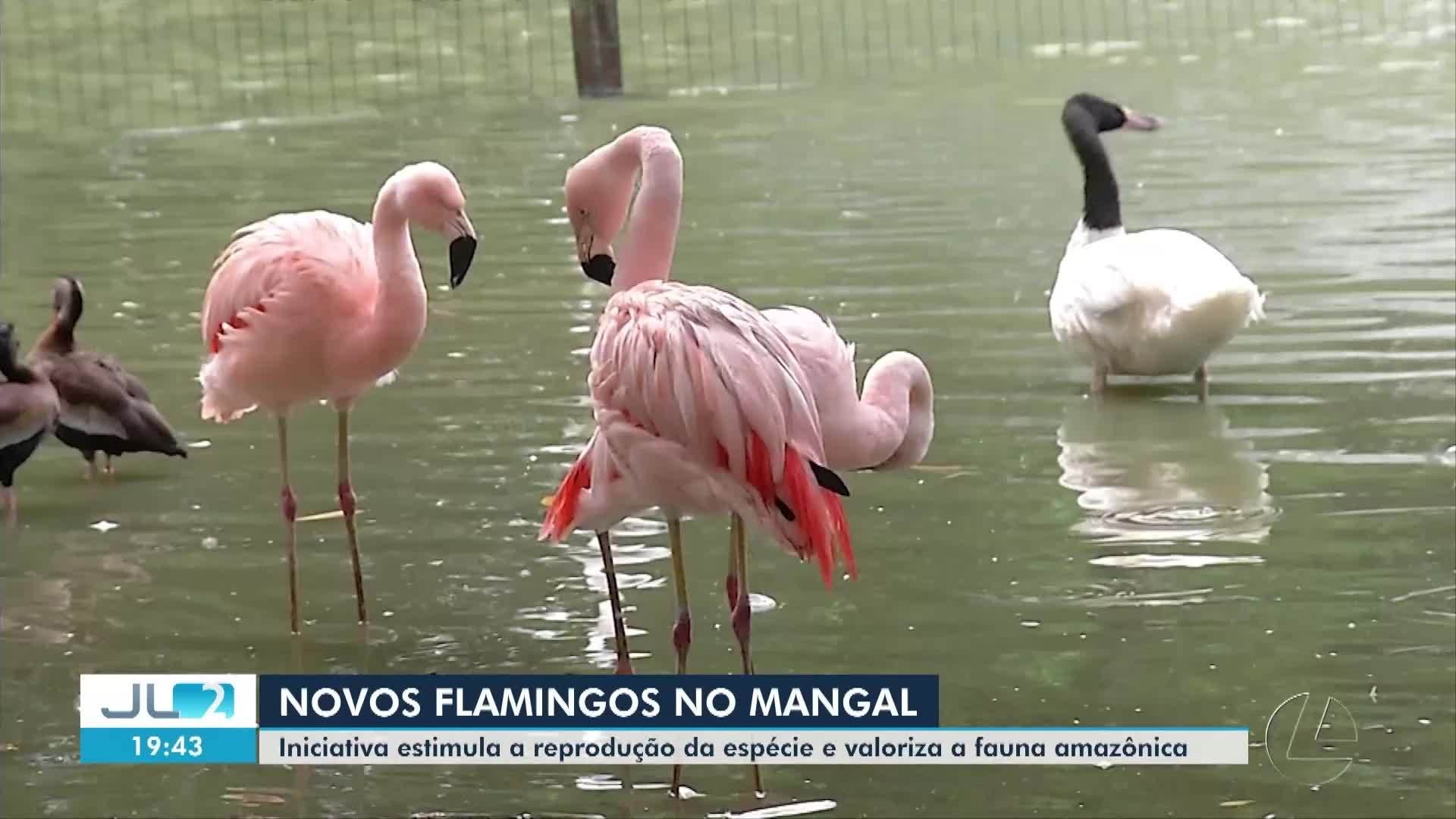 VÍDEOS: JL2 de sábado, 9 de agosto de 2025
