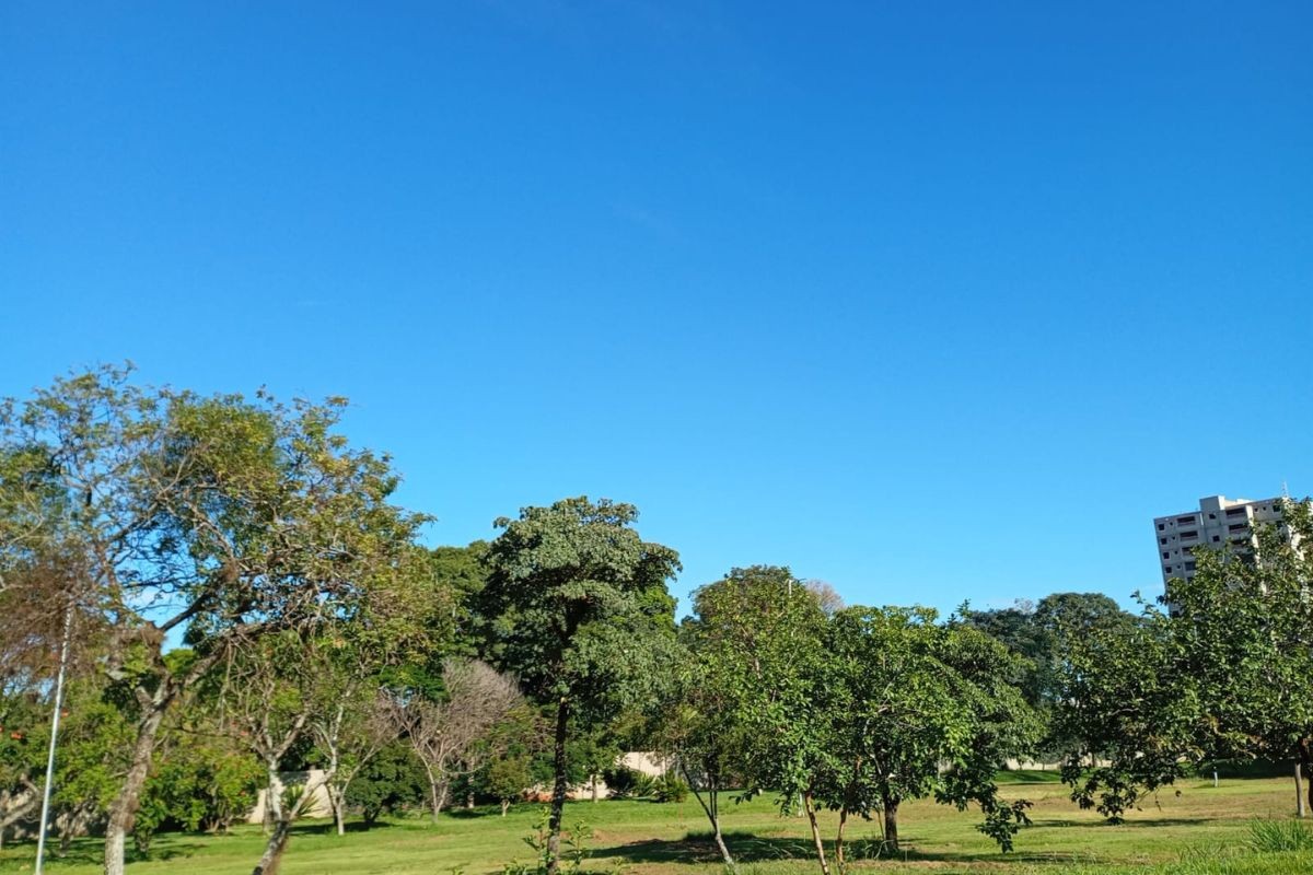 Domingo de Páscoa terá calor intenso e baixa umidade do ar em MS; veja a previsão 