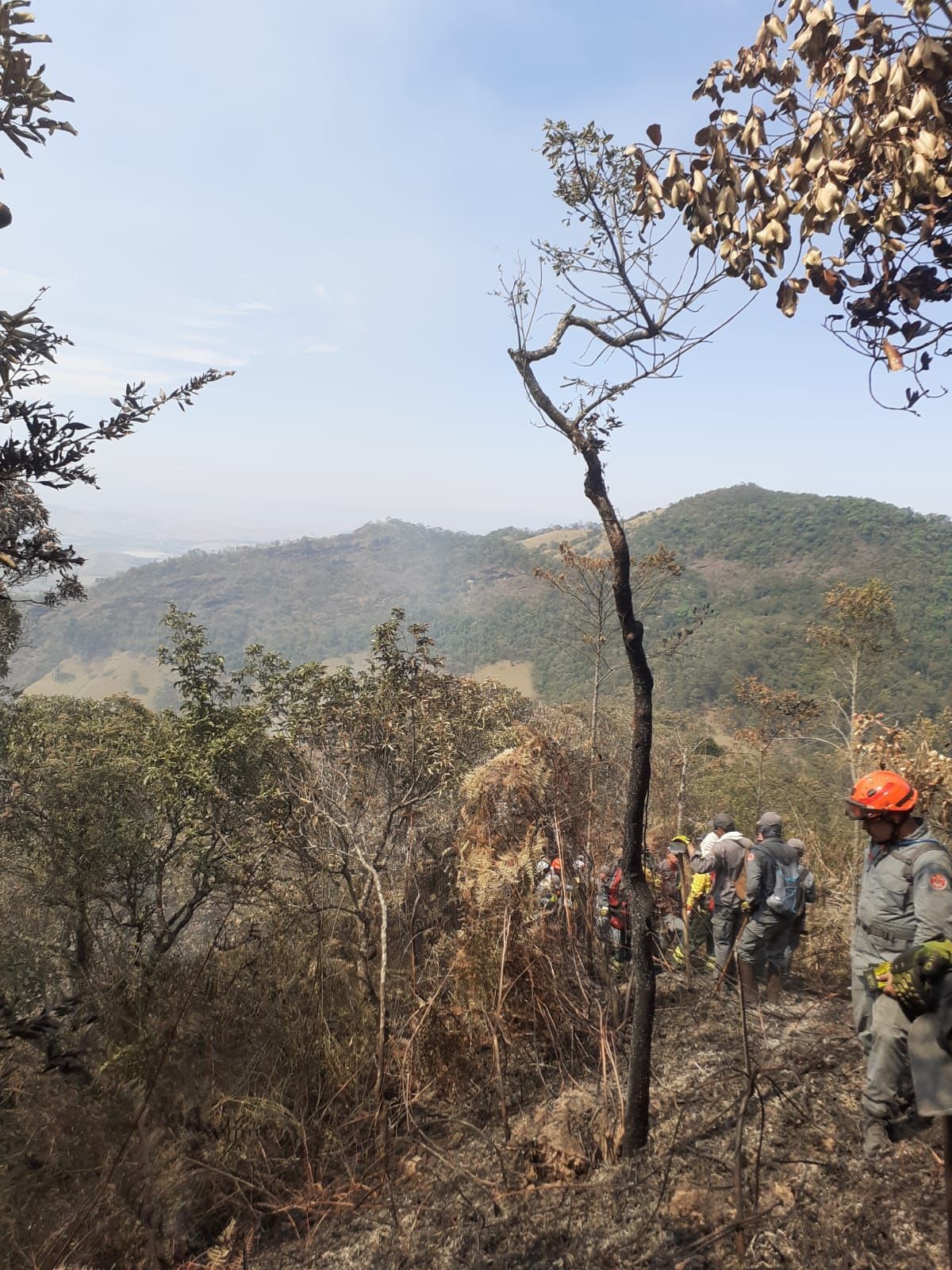 Combate a fogo em área de mata mobiliza 45 pessoas em Cruzeiro
