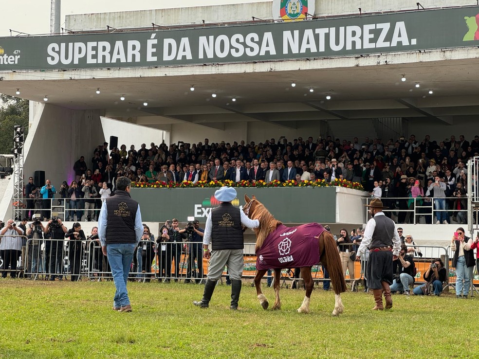 Cavalo Caramelo é aplaudido na Expointer — Foto: Marcelo Ermel/Ulbra