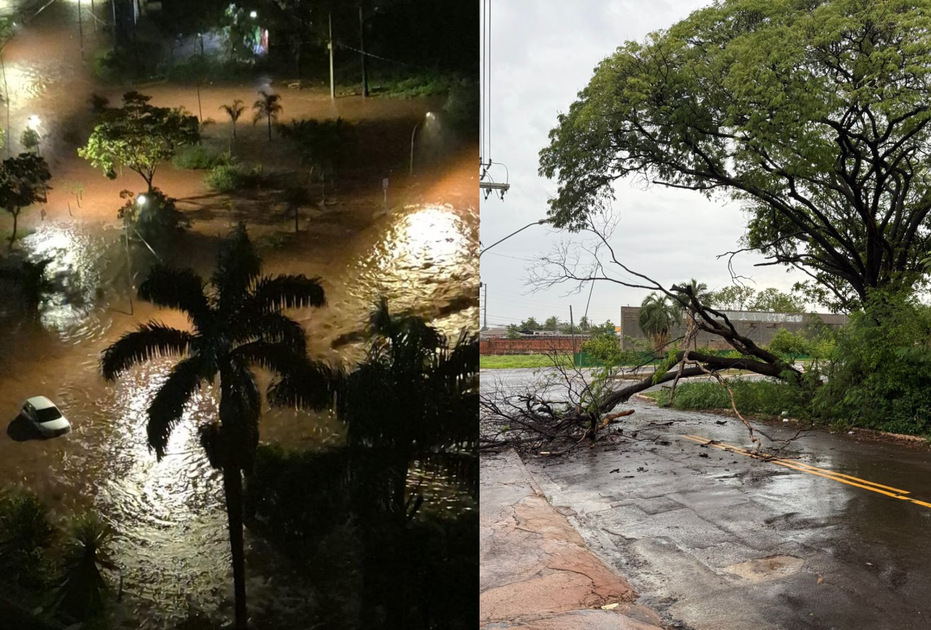 Temporal em Campo Grande arrasta carros, deixa ruas alagadas e derruba árvores