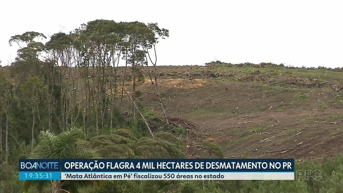 Operação Mata Atlântica Em Pé Flagra 4 Mil Hectares De Desmatamento No Paraná Paraná G1 0610