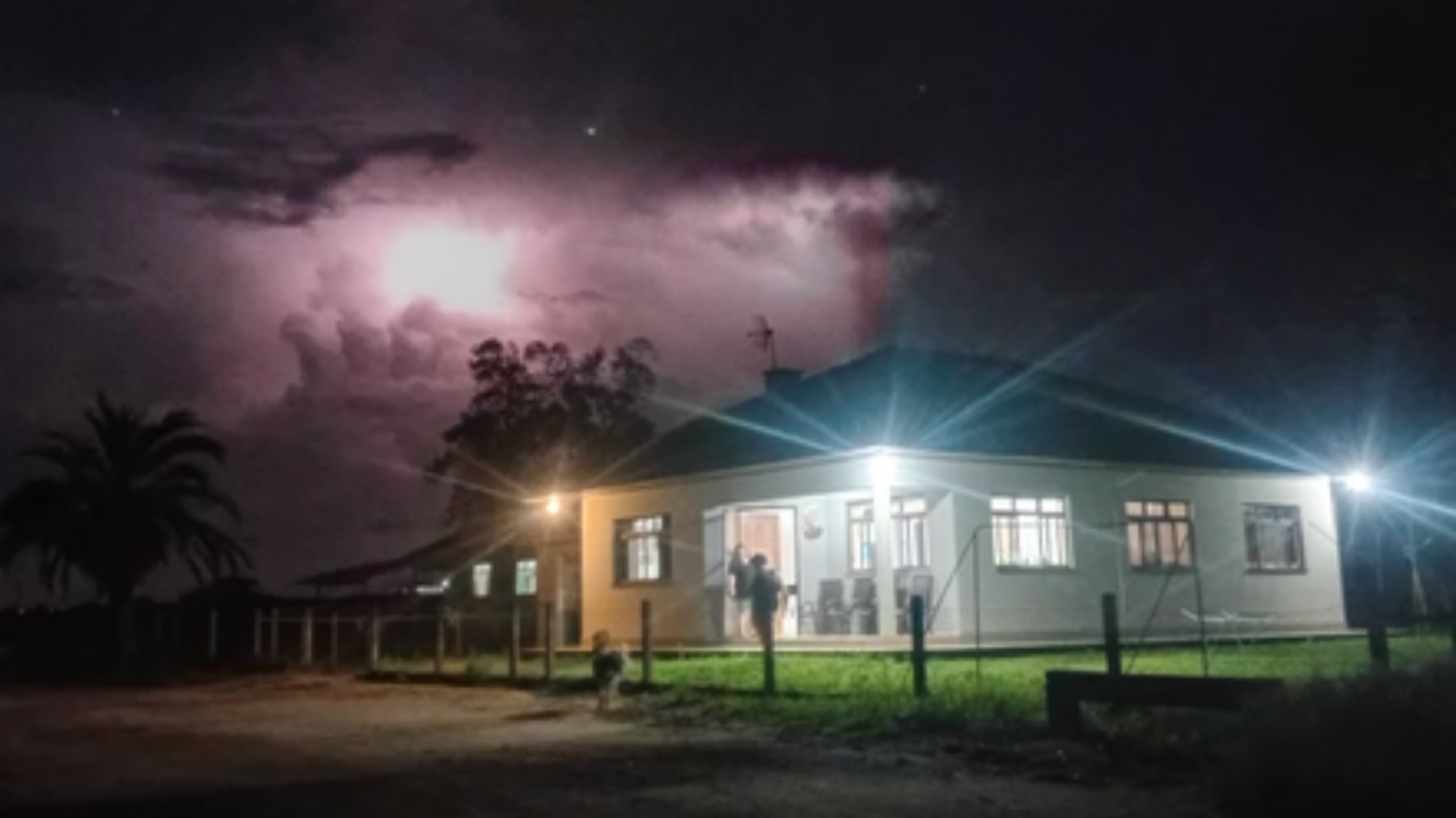 VÍDEO: Paraná registra mais de 20 mil raios nuvem-solo em um dia; veja cidades com mais ocorrências