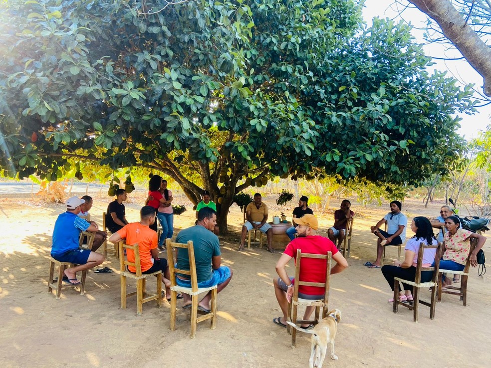 Mais de 100 famílias do Sítio Lírio, zona rural de Santana do Cariri, se dedicam a produção de mel de abelha. — Foto: Lorena Tavares/ SVM