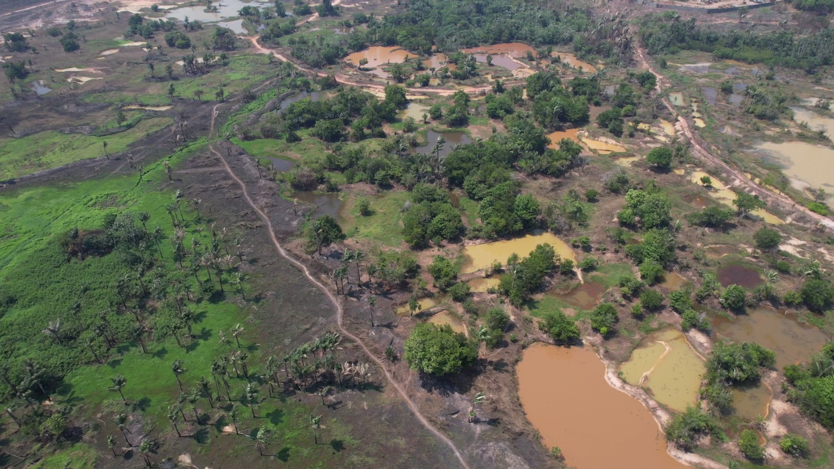 Ibama diz que realiza perícias em queimadas no Amazonas