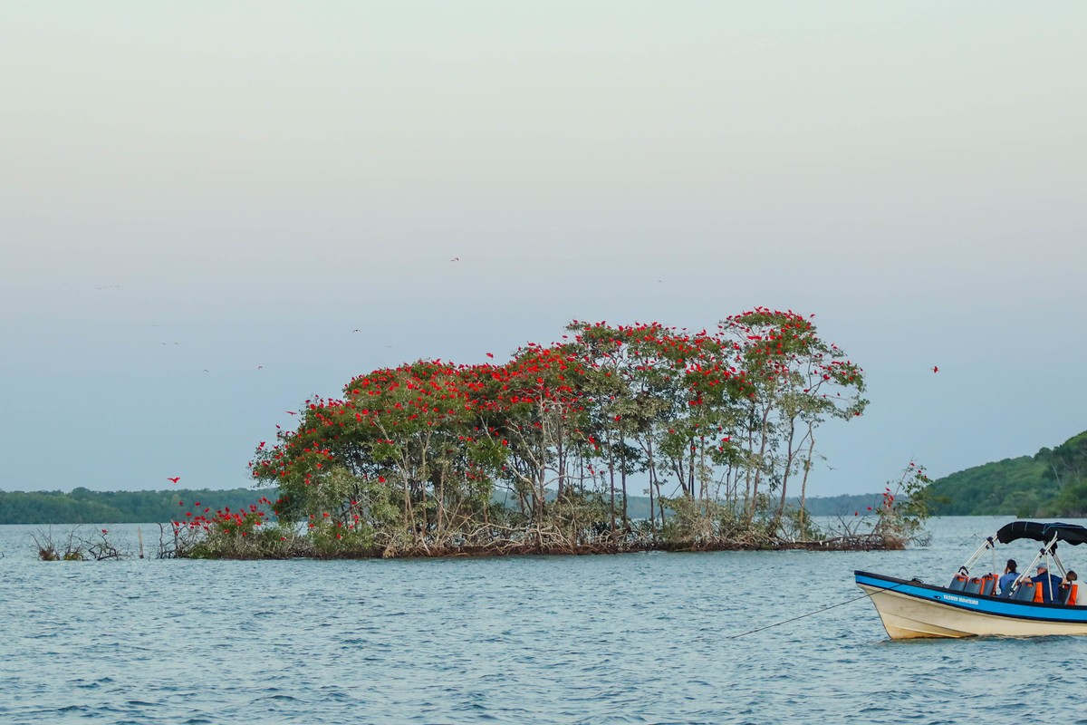 Delta do Rio Parnaíba registra crescimento de 23,6% na visitação turística em janeiro