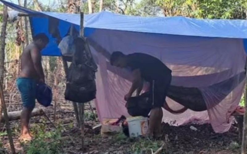 Trabalhador morre ao ser atingido por árvore que serrava no interior do Amazonas