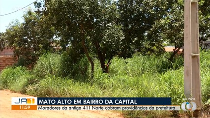 Palmenses cobram providências sobre mato alto