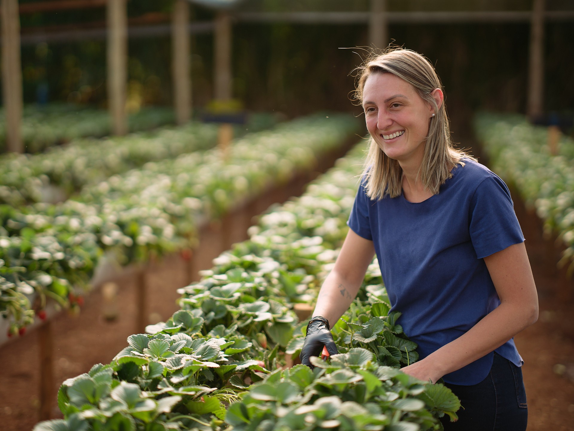 Cresol fortalece agricultores com Projeto Empreendedorismo Rural