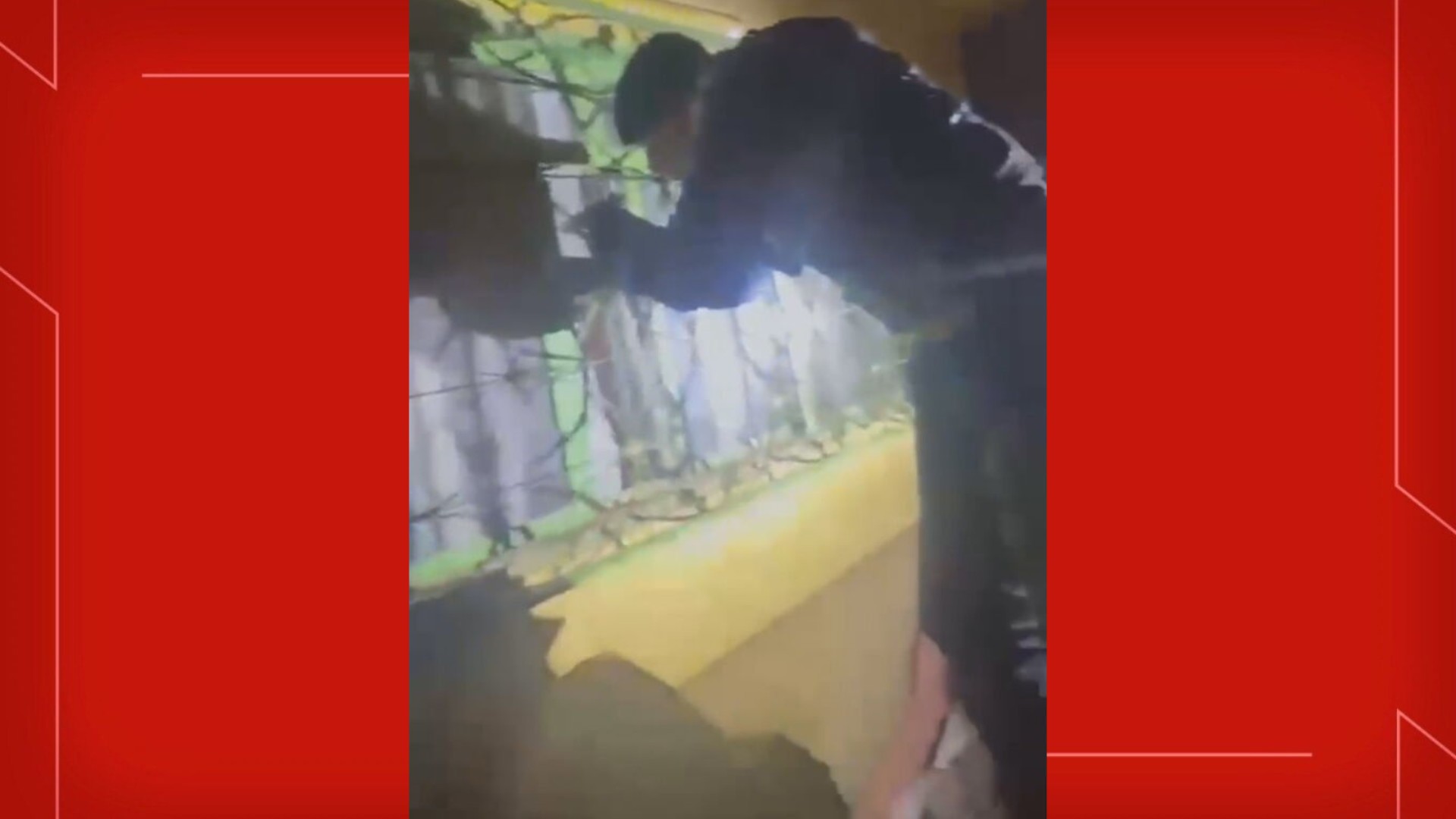 Homem é preso após atirar contra motoristas de aplicativo em Ceilândia, no DF