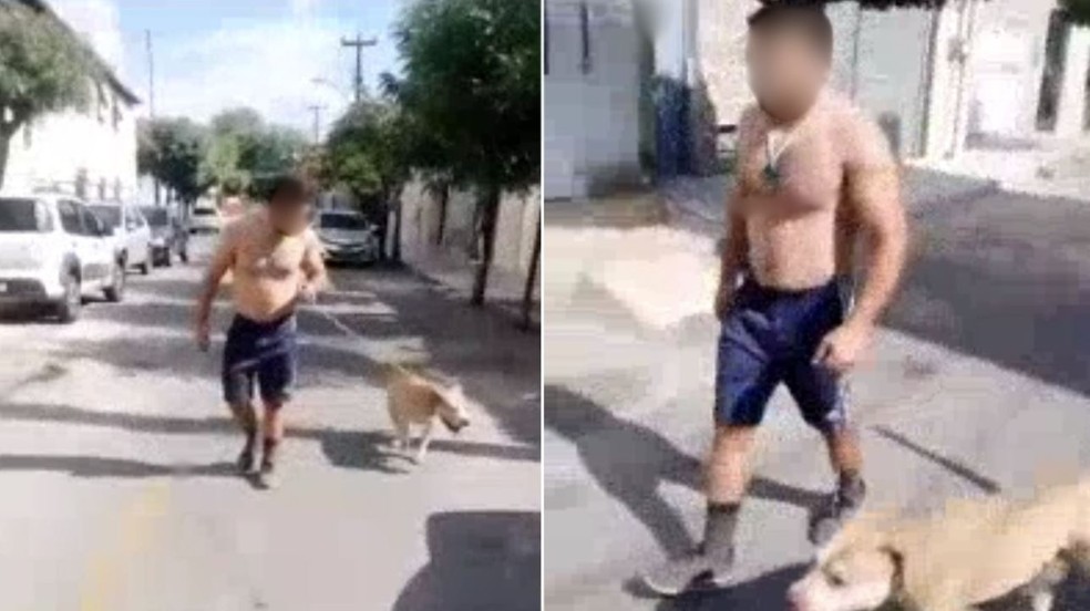Caso registrado na cidade de Sobral. O cão da raça pitbull já matou vários animais, segundo moradores. — Foto: Reprodução